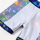 economico Costumi da bagno per bambini-Bambino Da ragazzo Costume da bagno Dinosauro Manica corta Girocollo Spiaggia Festività Bianco Estate Vestiti 4 anni +