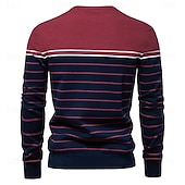 preiswerte Herren Elite Hoodies &amp; Sweatshirts-Herren Pullover Gerippt Stricken Normale Oberteile Farbblock Gestreift Rundhalsausschnitt Strickware Täglich Outdoor Urlaub Bekleidung Frühling Herbst Wein Marineblau S M L