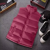 abordables Gilets-Homme Gilet matelassé Gilet Vacances du quotidien Rendez-vous Mode Décontractées Automne hiver Poche Polyester Chaud Confortable Plein fermeture Éclair Mao Standard Noir Blanche Rouge Bleu Gilet
