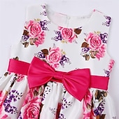 preiswerte Partykleider-kinderkleidung Mädchen Party Kleid Blumen Ärmellos Leistung Geburtstag Krawattenknoten Schön Süß Baumwolle Knielang abendkleider Schaukelkleid A Linie Kleid Sommer 4 Jahre + Rosa Rote Rosenrot