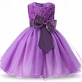 abordables Robes à Fleurs pour Filles-Robe de Demoiselle d&#039;Honneur Fille enfants Fille Robe de princesse Utilisation Mariage Soirée Elégant Magnifique Maille Couleur unie Sans Manches Col Ras du Cou Blanche Rose Claire 4 ans et +
