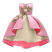 preiswerte Partykleider-kinderkleidung Mädchen Party Kleid Blume Ärmellos Leistung Geburtstag Schön Süß Polyester Asymmetrisch abendkleider Schaukelkleid A Linie Kleid Sommer 4 Jahre + Champagner Rosa Wein