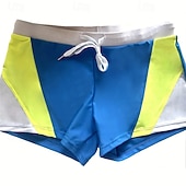 billige Svømmebukser og badebukser-Herre Badeshorts Lapper Snorer Hurtigtørkende Bekvem Pustende Badetøy Bunner Surfing Strand Vannsport Sommer