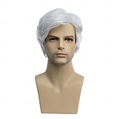 preiswerte Herrenperücken-Männerperücken, kurze Perücke, synthetische, hitzebeständige, natürliche Halloween-Cosplay-Perücke