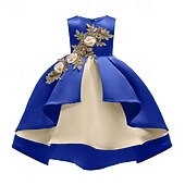 preiswerte Partykleider-kinderkleidung Mädchen Party Kleid Blume Ärmellos Leistung Geburtstag Schön Süß Polyester Asymmetrisch abendkleider Schaukelkleid A Linie Kleid Sommer 4 Jahre + Champagner Rosa Wein