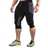 preiswerte Shorts-Herren Sweatshorts Kurze Hose Capri-Shorts Kurze Sporthose Kurze Sporthose Sport Shorts Tasche Kordelzug Elastische Taille Farbblock Komfort Atmungsaktiv Wadenlänge Outdoor Sport Klassisch