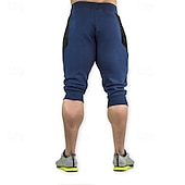 preiswerte Shorts-Herren Sweatshorts Kurze Hose Capri-Shorts Kurze Sporthose Kurze Sporthose Sport Shorts Tasche Kordelzug Elastische Taille Farbblock Komfort Atmungsaktiv Wadenlänge Outdoor Sport Klassisch