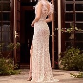 abordables Robe noire-Femme Ourlet Maxi Polyester Zippé Accueil froid Mancheron Sans Manches Robe Maxi Mariage robe demoiselle d honneur Elégant mode Etincelant Rose Claire Printemps Automne