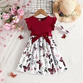 levne Neformální šaty-Děti Dívčí Šaty Květinové šaty Květiny Bez rukávů Venkovní Ležérní Volány Módní Denní Polyester Délka ke kolenům Volnočasové šaty Áčkové šaty Léto 4 roky + Světlá růžová Rubínově červená Fialová