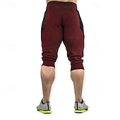 preiswerte Shorts-Herren Sweatshorts Kurze Hose Capri-Shorts Kurze Sporthose Kurze Sporthose Sport Shorts Tasche Kordelzug Elastische Taille Farbblock Komfort Atmungsaktiv Wadenlänge Outdoor Sport Klassisch