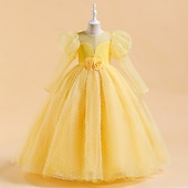 preiswerte Kleider für die Blumenmädchen-Blumenmädchenkleid Mädchen Formelle Kleidung Prinzessinenkleid Hochzeitskleidung Party Kleid Leistung Besondere Anlässe Prinzessin Süß Feste Farbe Langarm Rundhalsausschnitt Weiß Gelb 4-13 Jahre