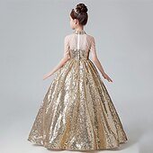 levne Párty šaty-Děti Dívčí Šaty na párty Pevná barva Bez rukávů Výkon Narozeniny Flitry Elegantní Krásná Polyester Maxi Šaty na párty Swingové šaty Áčkové šaty Léto 4-12 let Světlá růžová Vodní modrá Zlatá