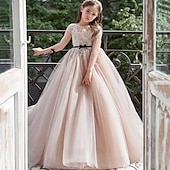 billige Blomsterkjoler-Blomsterpikekjole Barn Jente Prinsesse kjole Ytelse Bryllup Fest Elegant Vakker Netting Helfarge Langermet Crew-hals Rosa 4 år +