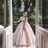 billige Blomsterkjoler-Blomsterpikekjole Barn Jente Prinsesse kjole Ytelse Bryllup Fest Elegant Vakker Netting Helfarge Langermet Crew-hals Rosa 4 år +