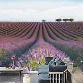 billige Tapet-Landskap Hule 3D Tapet Hjem Dekorasjon Vegg Mural Rull Peel og Stick Avtagbart PVC/Vinyl Materiale Selvklebende/Krever Lim Veggdekorasjon Stue