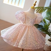 cheap Party Dresses-Kids Girls&#039; Party Dress Solid Color 3/4 Length Sleeve Performance Mesh Princess Sweet Mesh Mid-Calf Sheath Dress Tulle Dress Summer Spring Fall 4-12 Years Pink