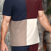 お買い得  メンズプリントTシャツセット-男性用 カラーブロックステッチ 2個 ティーセット 夏のトップス 半袖 ショートパンツ クルーネック スポーツ カジュアル アウトドア バケーション スポーツ 3Dプリント 夏 ロビンエッグブルー