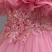 preiswerte Kleider für die Blumenmädchen-Blumenmädchenkleid Mädchen Formelle Kleidung Prinzessinenkleid Party Kleid Hochzeit Besondere Anlässe bezaubernd Süß Rüschen Zip Feste Farbe Kurzarm Rundhalsausschnitt Weiß Champagner 4-13 Jahre