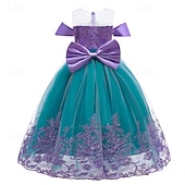 abordables Vestidos con temática de cuento de hadas-Niños Chica Vestido Bloque de color Sin Mangas Rendimiento Exterior Malla Adorable Disfraz Poliéster Maxi Vestido informal Vestido de una línea Vestido de Tul Verano Primavera 4 años + Azul Piscina