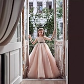 billige Blomsterkjoler-Blomsterpikekjole Barn Jente Prinsesse kjole Ytelse Bryllup Fest Elegant Vakker Netting Helfarge Langermet Crew-hals Rosa 4 år +