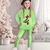 Girls' 3D Floral Graphic Sports Suit Tracksuits Sweatshirt & Legging Set Long Sleeve Spring Fall Daily Casual Tights Kids 4-12 Years Crew Neck Outdoor Vacation Sports Tailored Fit4