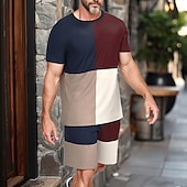 お買い得  メンズプリントTシャツセット-男性用 カラーブロックステッチ 2個 ティーセット 夏のトップス 半袖 ショートパンツ クルーネック スポーツ カジュアル アウトドア バケーション スポーツ 3Dプリント 夏 ロビンエッグブルー