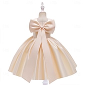 cheap Party Dresses-Kids Girls&#039; Party Dress Solid Color Sleeveless Special Occasion Princess Polyester Party Dress Summer Spring 3-10 Years Multicolor White Champagne
