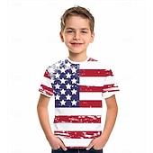 Boys 3D Graphic Flag T shirt Short Sleeve 3D Print Summer Active Polyester Kids 4-12 Years Daily Wear Regular Fit3