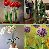 cheap Watering &amp; Irrigation-5 Packs of Metal Plant Support Stakes, Plant Stakes for Flowers, Single Stem Plant Support Ring Hoop,Plant Support Cages for Potted Plants Tomato Rose Vine