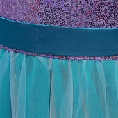 abordables Vestidos con temática de cuento de hadas-Niños Chica Vestido Bloque de color Sin Mangas Rendimiento Exterior Malla Adorable Disfraz Poliéster Maxi Vestido informal Vestido de una línea Vestido de Tul Verano Primavera 4 años + Azul Piscina