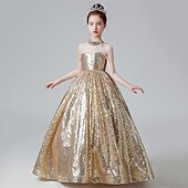 levne Párty šaty-Děti Dívčí Šaty na párty Pevná barva Bez rukávů Výkon Narozeniny Flitry Elegantní Krásná Polyester Maxi Šaty na párty Swingové šaty Áčkové šaty Léto 4-12 let Světlá růžová Vodní modrá Zlatá