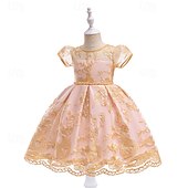 billiga Klänningar med sagotema-Barn Flickor Klänning Blomma Kortärmad Utomhus Ledigt Paljetter Mode Ljuv Polyester Midi Vardagsklänning A linjeklänning Tyllklänning Sommar Vår 4 år + Champagne Rodnande Rosa Purpur