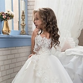 cheap Flower Girl&#039;s Dresses-Flower Girl Dress Kid&#039;s Girls&#039; Lace Dress Formal Dress Princess Dress First Communion Dress Performance Wedding Party Elegant Beautiful Mesh Solid Color Half Sleeve Off Shoulder White 4 years+