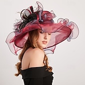 cheap Party Hats-2025 Kentucky Derby Hat for Women Ladies, Organza Veil Feather Fascinator for Tea Party Church UV Protection Sun Hat