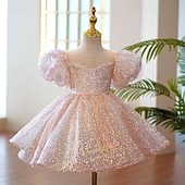 cheap Party Dresses-Kids Girls&#039; Party Dress Solid Color 3/4 Length Sleeve Performance Mesh Princess Sweet Mesh Mid-Calf Sheath Dress Tulle Dress Summer Spring Fall 4-12 Years Pink