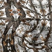 Недорогие Мужские джерси-Муж. Велокофты Графика С короткими рукавами Велоспорт Футболка Футболка Джерси с 3 задними карманами Горные велосипеды Быстровысыхающий Анатомический дизайн Фитиль Дышащий Виды спорта