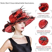 cheap Party Hats-2025 Kentucky Derby Hat for Women Ladies, Organza Veil Feather Fascinator for Tea Party Church UV Protection Sun Hat