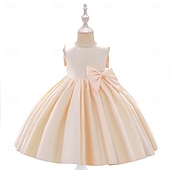 cheap Party Dresses-Kids Girls&#039; Party Dress Solid Color Sleeveless Special Occasion Princess Polyester Party Dress Summer Spring 3-10 Years Multicolor White Champagne