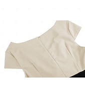 ieftine Rochii-Elegant 1950 Rochie de epoca Lungime Genunchi Rochii Rochie A-Line Rochie de ceai Linia -A Pentru femei Crăciun Carnaval An Nou Venire Acasă Casul / Zilnic Petrecerea Burlăcițelor Adulți Rochii de