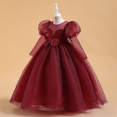 preiswerte Kleider für die Blumenmädchen-Blumenmädchenkleid Mädchen Formelle Kleidung Prinzessinenkleid Hochzeitskleidung Party Kleid Leistung Besondere Anlässe Prinzessin Süß Feste Farbe Langarm Rundhalsausschnitt Weiß Gelb 4-13 Jahre