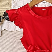 billige Uformelle kjoler-Barn Jente Kjole Hjerte Ermeløs utendørs Fest Netting Lapper Mote Bedårende Polyester Ovenfor knéet Kjole med A-linje Tyllkjole Sommer Vår 4 år + Rød