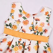 preiswerte Casual Kleider-Kinder Mädchen Partykleid Grafik Kurzarm Besonderer Anlass Prinzessin Polyester Partykleid Sommer Frühling Kinder Gelb