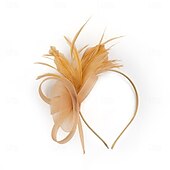 abordables Fascinators-Coiffe Tulle Plumes Mariage Anniversaire Soirée Fête du thé Course de Chevaux Élégant ancien Mignon Avec Plume Casque Couvre-chef