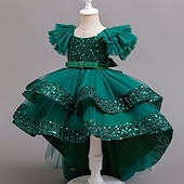 cheap Party Dresses-Kids Girls&#039; Party Dress Sequin Sleeveless Wedding Special Occasion Sequins Ruched Zipper Adorable Sweet Polyester Asymmetrical Party Dress Tulle Dress Summer Spring Fall 4-12 Years Pink Purple Green