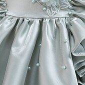 preiswerte Partykleider-Kleinkind Mädchen Partykleid Blumen Ärmellos Hochzeit Party Gerafft Reißverschluss Knotenbinde Niedlich Prinzessin Polyester Knielang Partykleid Sommer Frühling Herbst 4-7 Jahre Weiß Champagner