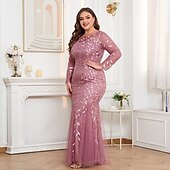 cheap Plus Size Dresses-Mermaid / Trumpet Evening Gown Sparkle Dress Formal Floor Length Long Sleeve Crew Neck Champagne Mother Of the Bride Dress Tulle with Embroidery 2025