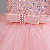 cheap Party Dresses-Kids Girls&#039; Party Dress Sequin Sleeveless Wedding Special Occasion Sequins Ruched Zipper Adorable Sweet Polyester Asymmetrical Party Dress Tulle Dress Summer Spring Fall 4-12 Years Pink Purple Green