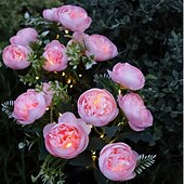 Lot de 2 lampes solaires en forme de fleur pour extérieur, éclairage de paysage, de terrasse, de jardin, étanche, pour jardin, terrasse, pelouse, clôture, décoration de vacances abordables Éclairage paysager-Lot de 2 lampes solaires en forme de fleur pour extérieur, éclairage de paysage, de terrasse, de jardin, étanche, pour jardin, terrasse, pelouse, clôture, décoration de vacances