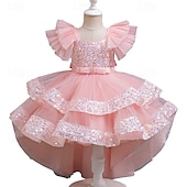 cheap Party Dresses-Kids Girls&#039; Party Dress Sequin Sleeveless Wedding Special Occasion Sequins Ruched Zipper Adorable Sweet Polyester Asymmetrical Party Dress Tulle Dress Summer Spring Fall 4-12 Years Pink Purple Green
