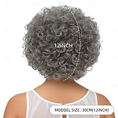 abordables Perruques de qualité supérieure-Perruque Synthétique Frisé Jerry Vague d&#039;eau Coupe Asymétrique Avec frange Fabriqué à la Machine Perruque 12 pouces A1 Cheveux synthétiques Femmes Classique Adorable Confortable Gris